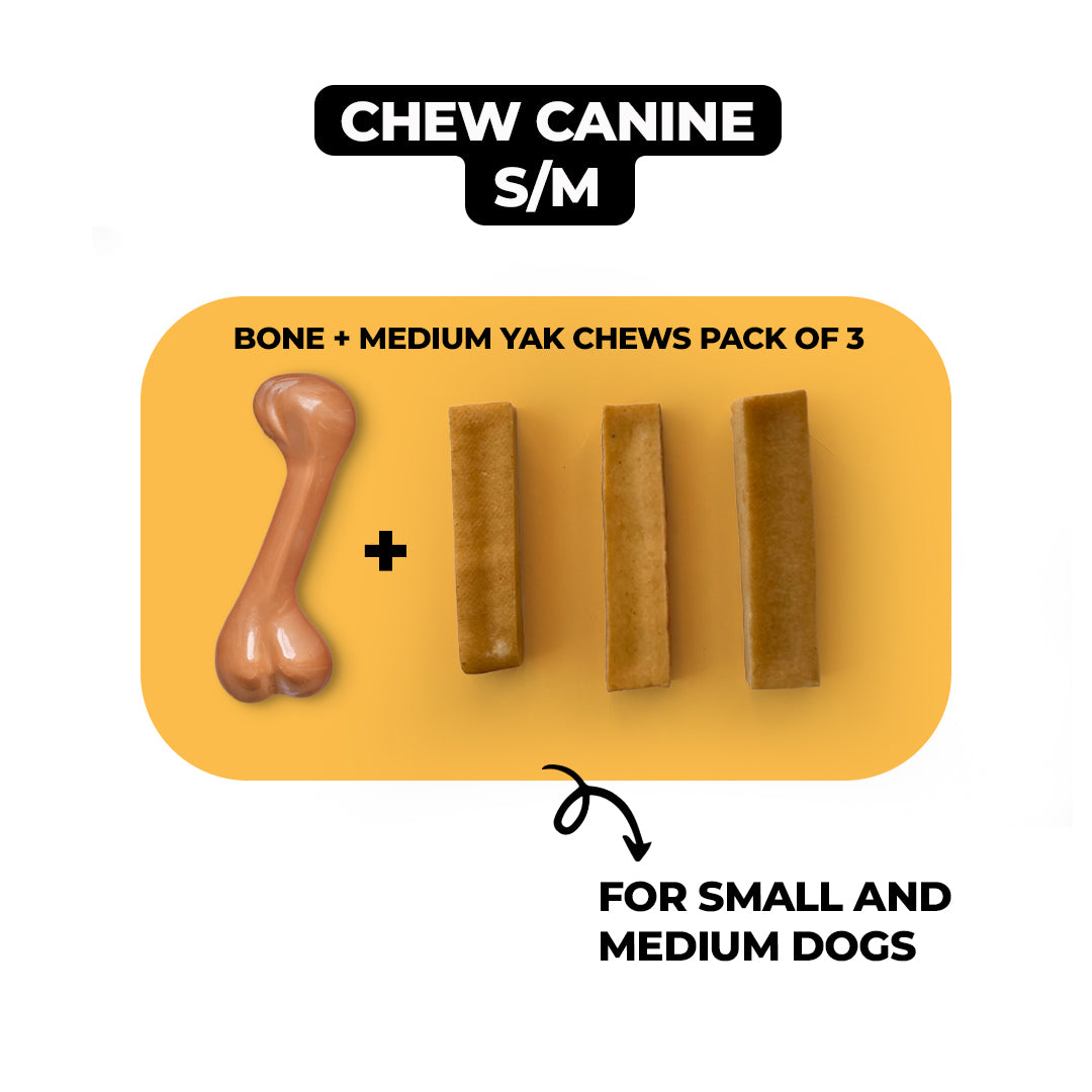 Chew Canine Box