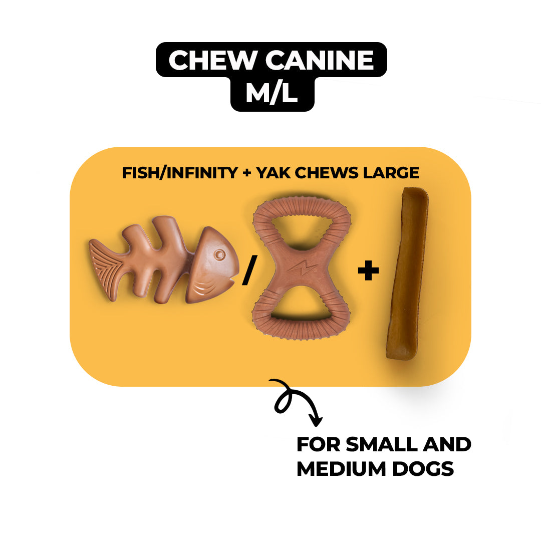 Chew Canine Box