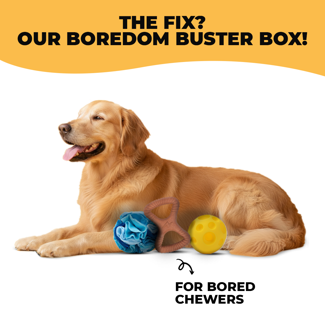 Boredom Buster Box