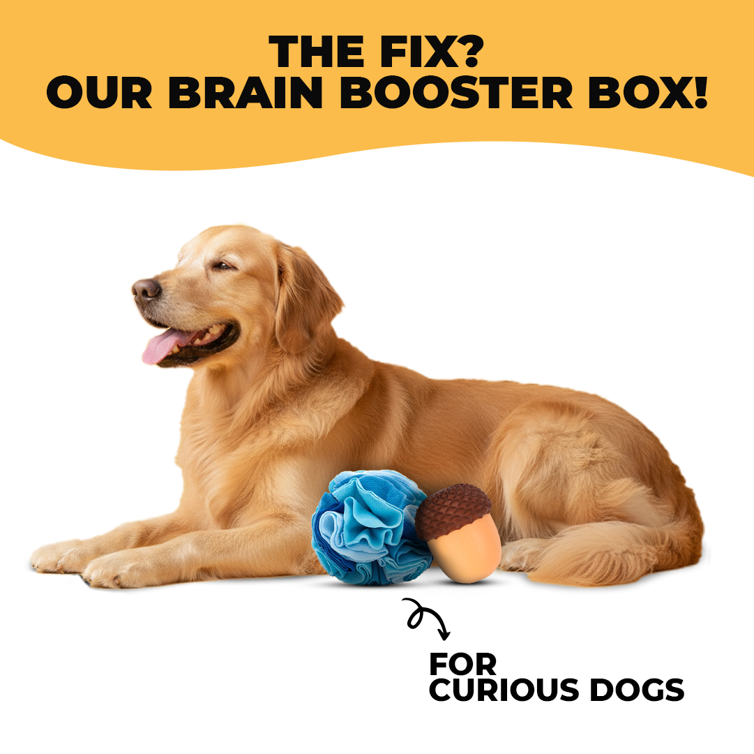 Brain Booster Box