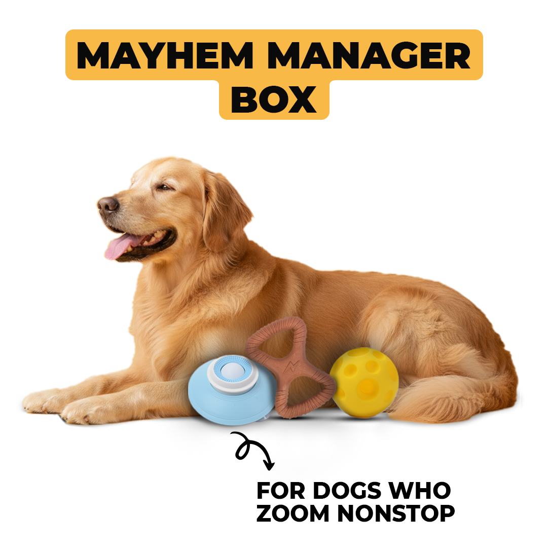 Mayhem Manager Box