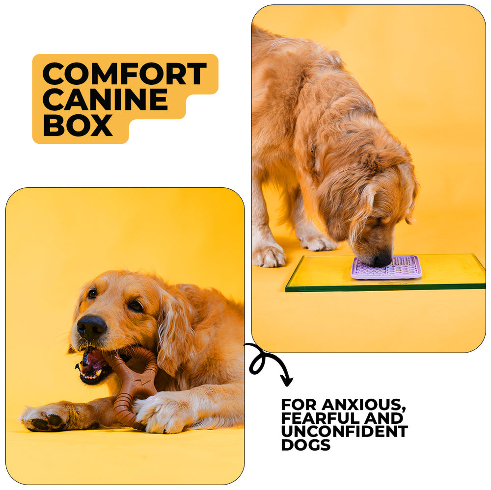 Comfort Canine Box