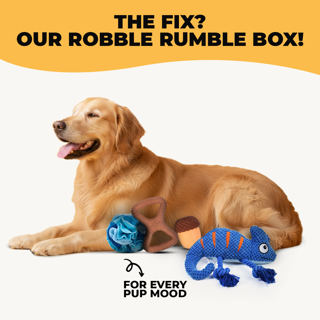 Robble Rumble Box