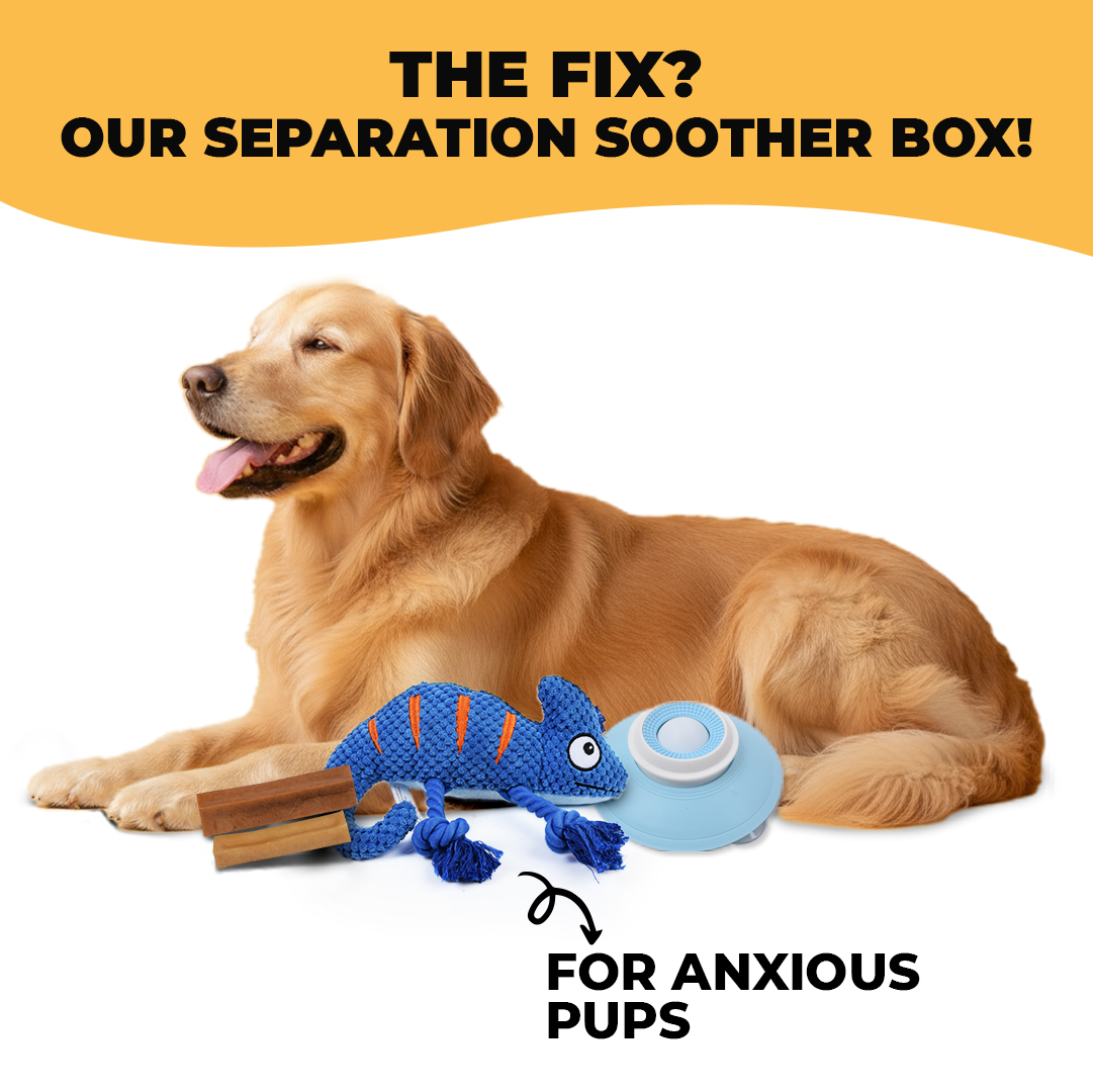 Separation Soother Box