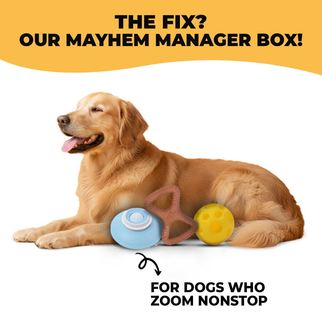 Mayhem Manager Box