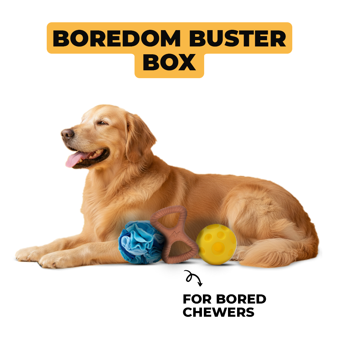 Boredom Buster Box