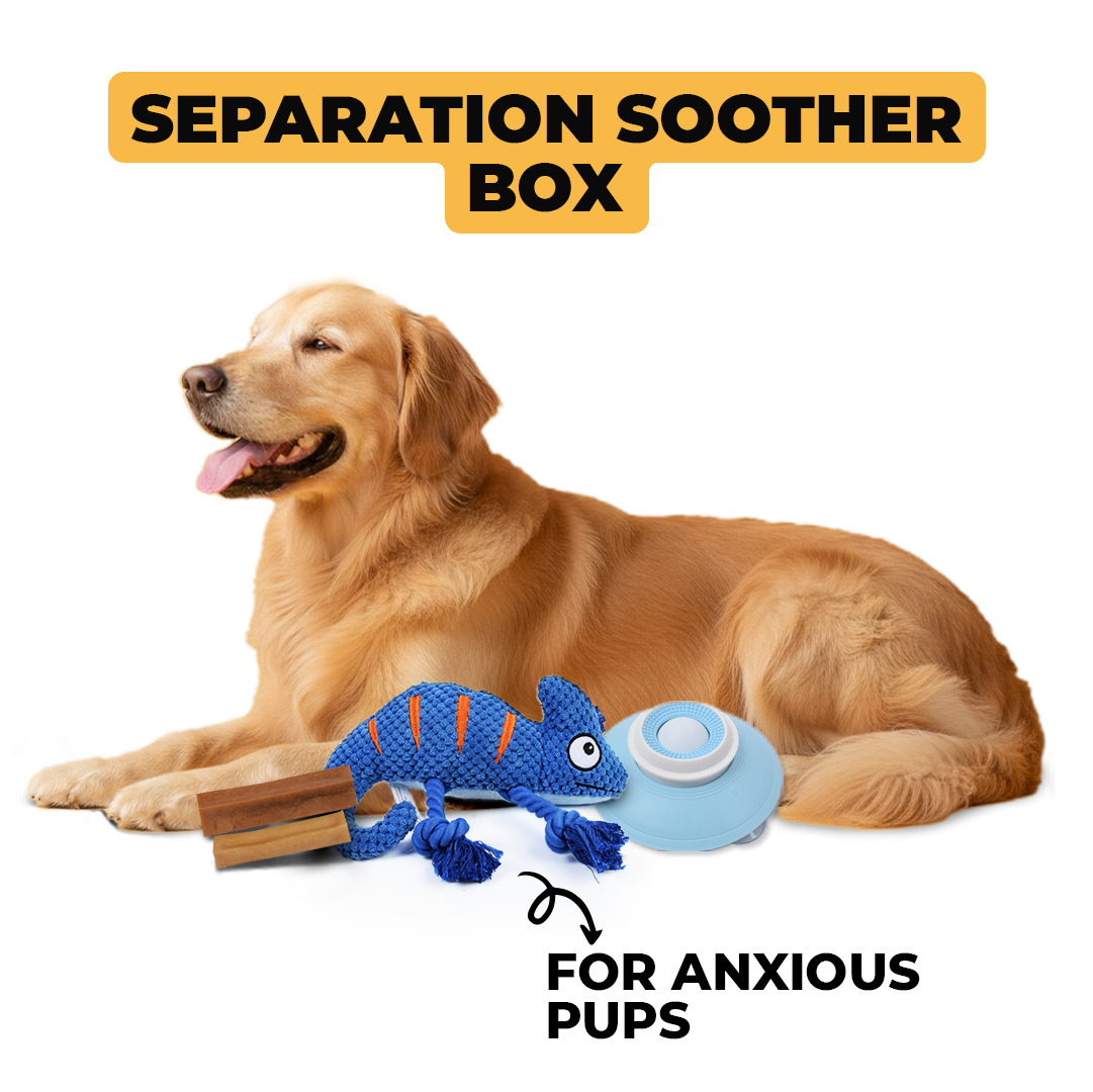 Separation Soother Box