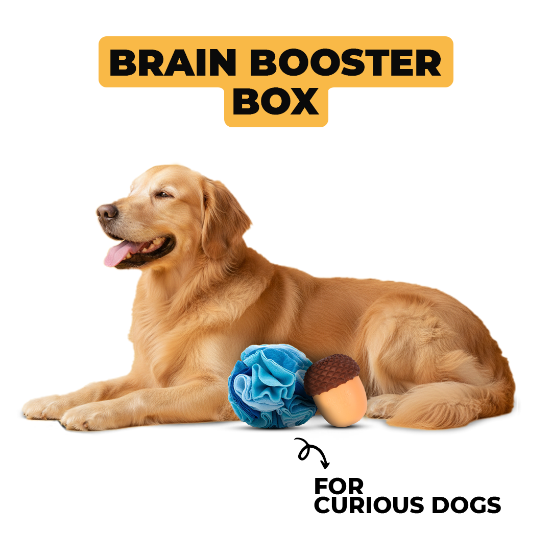 Brain Booster Box