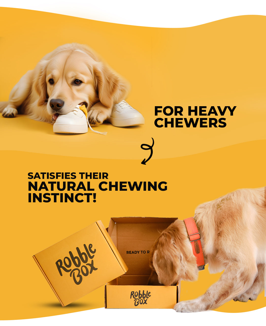 Heavy chewer box sale