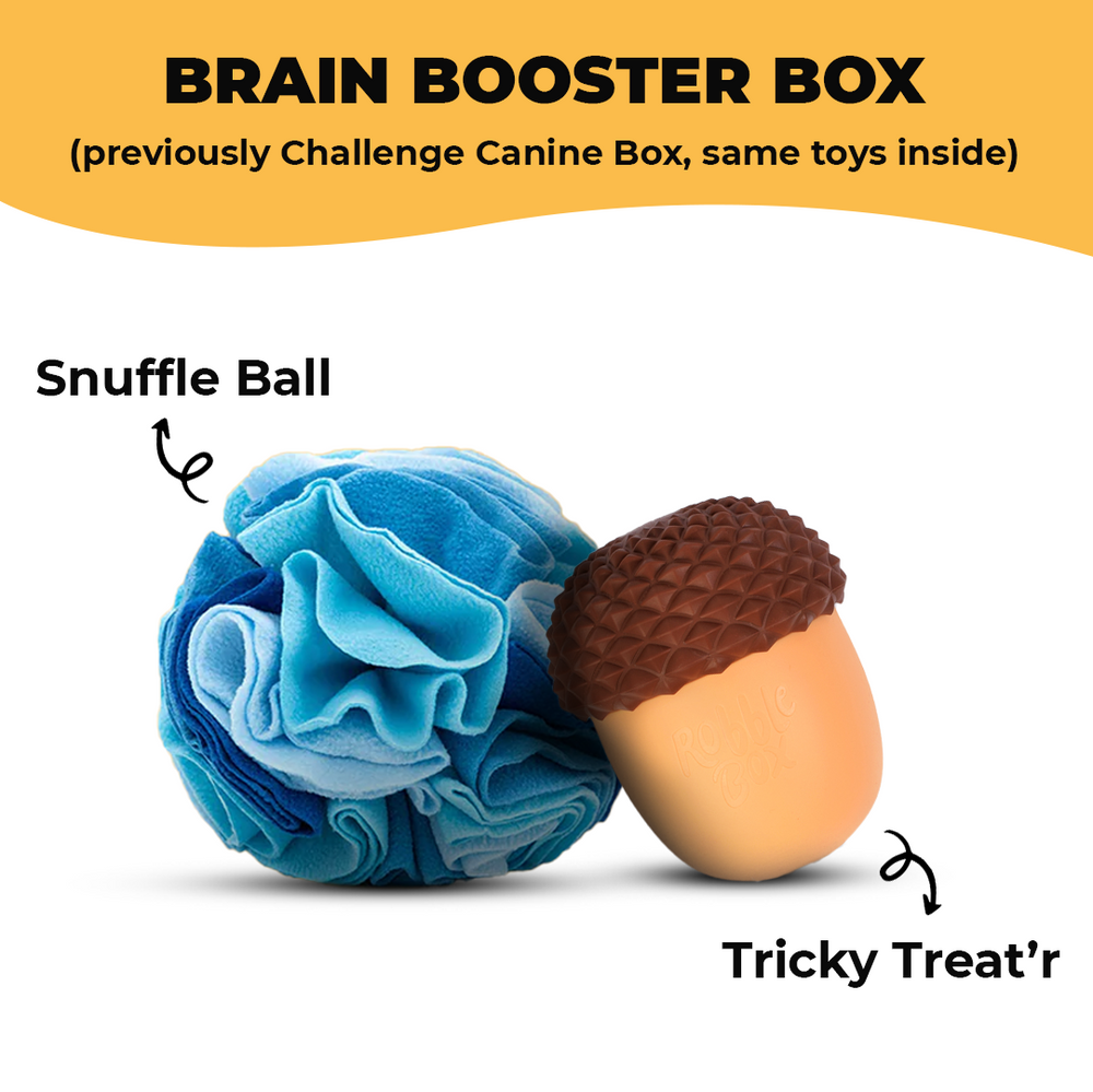 Brain Booster Box