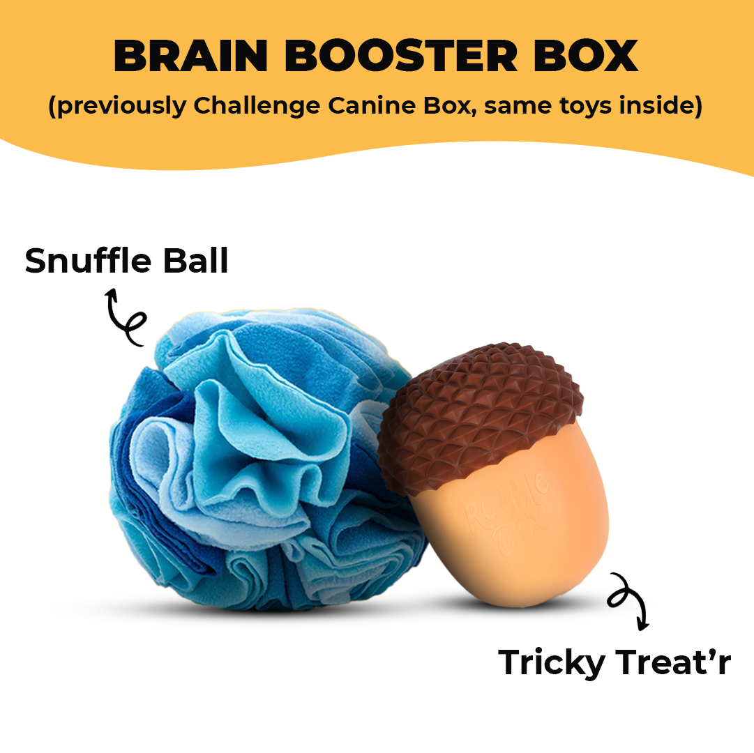 Brain Booster Box