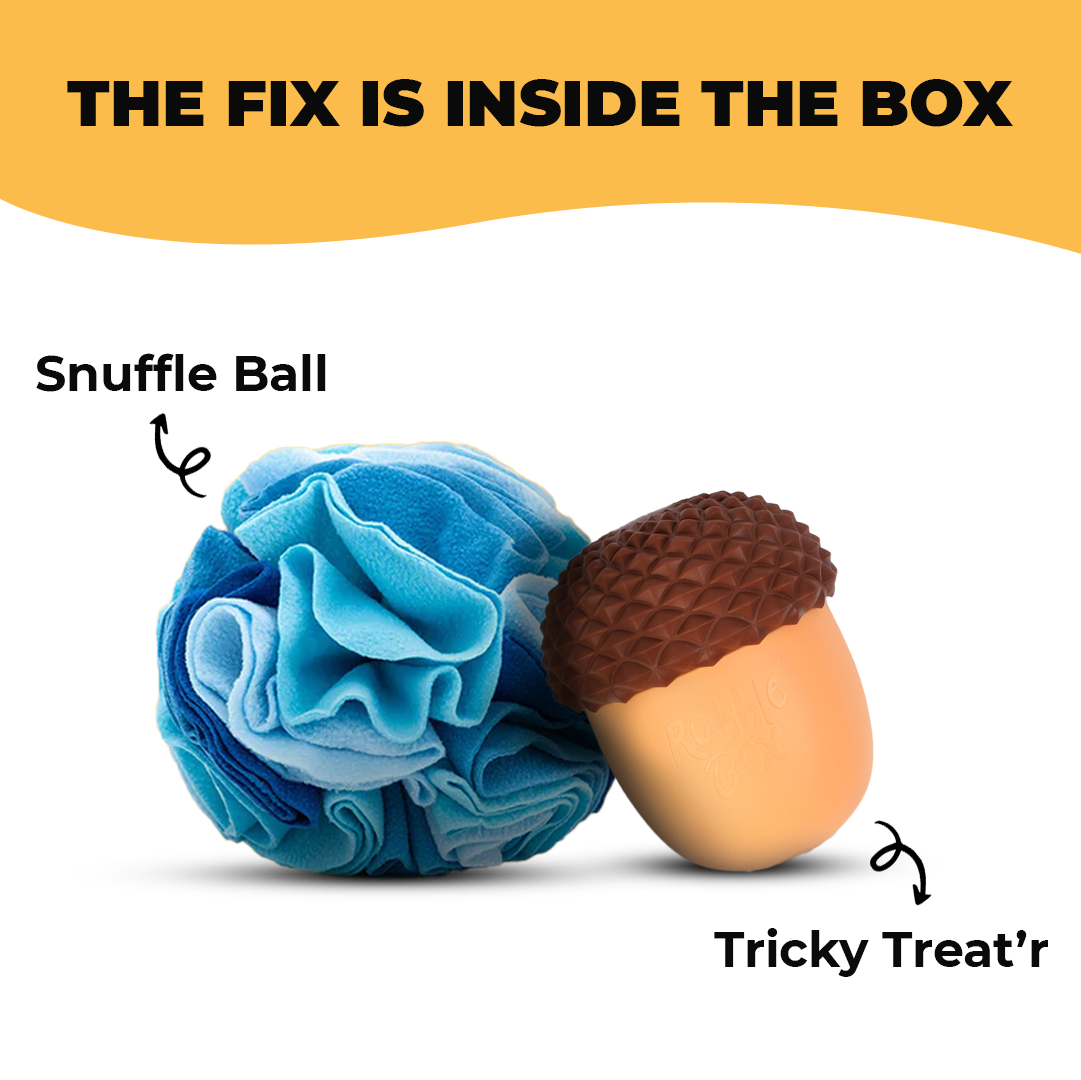 Brain Booster Box