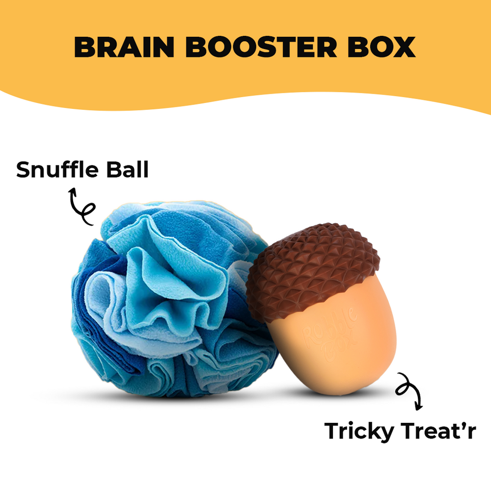 Brain Booster Box