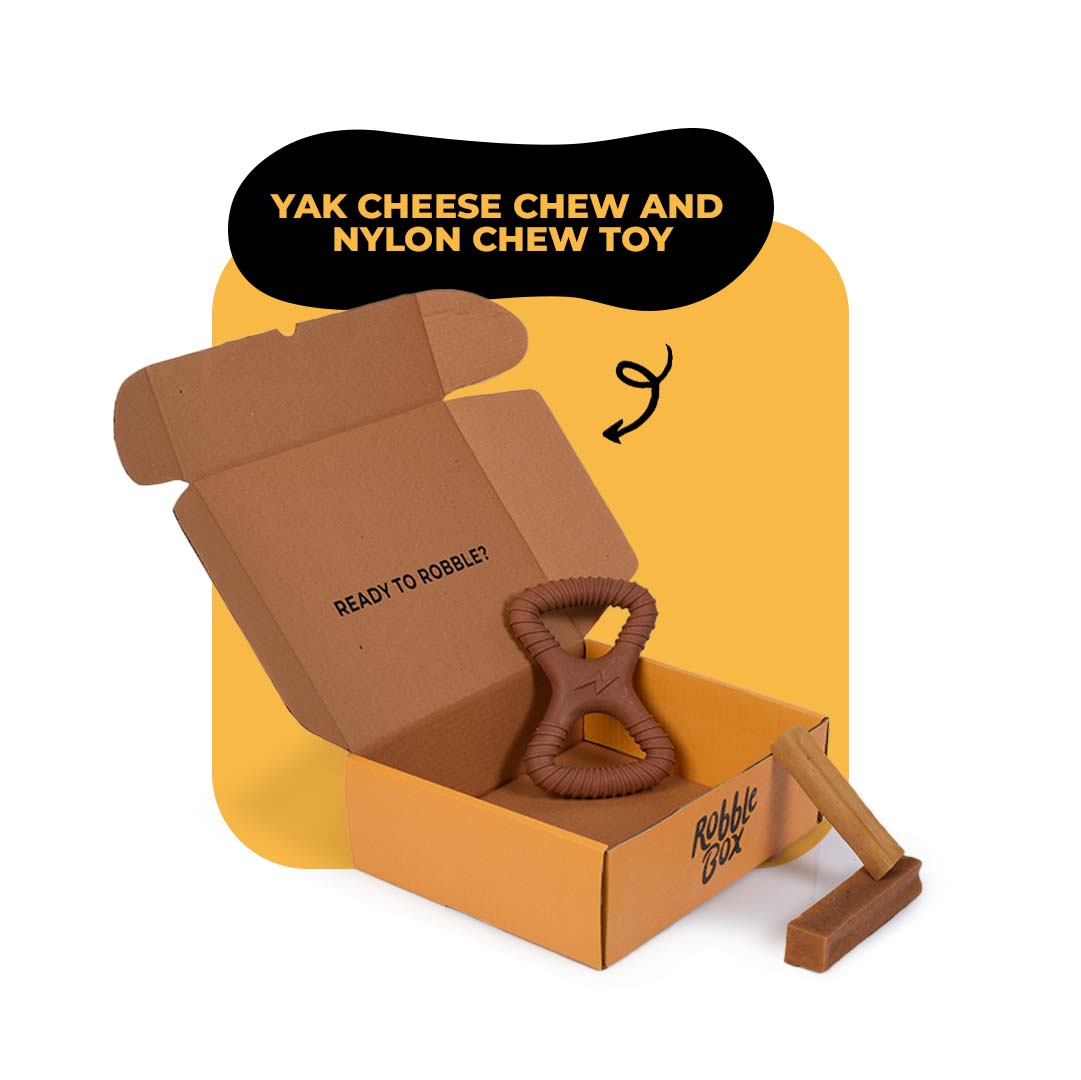 Chew Canine Box