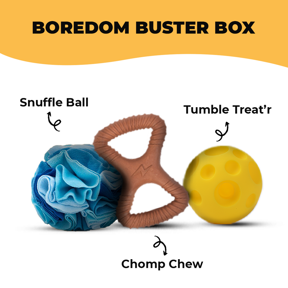 Boredom Buster Box