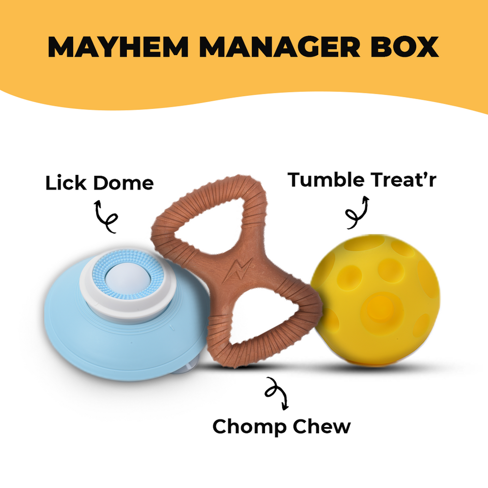 Mayhem Manager Box