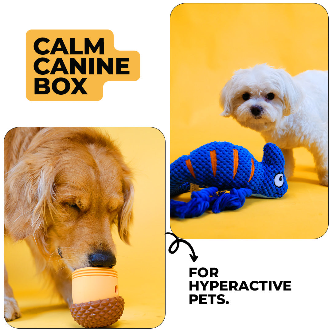 Calm Canine Box